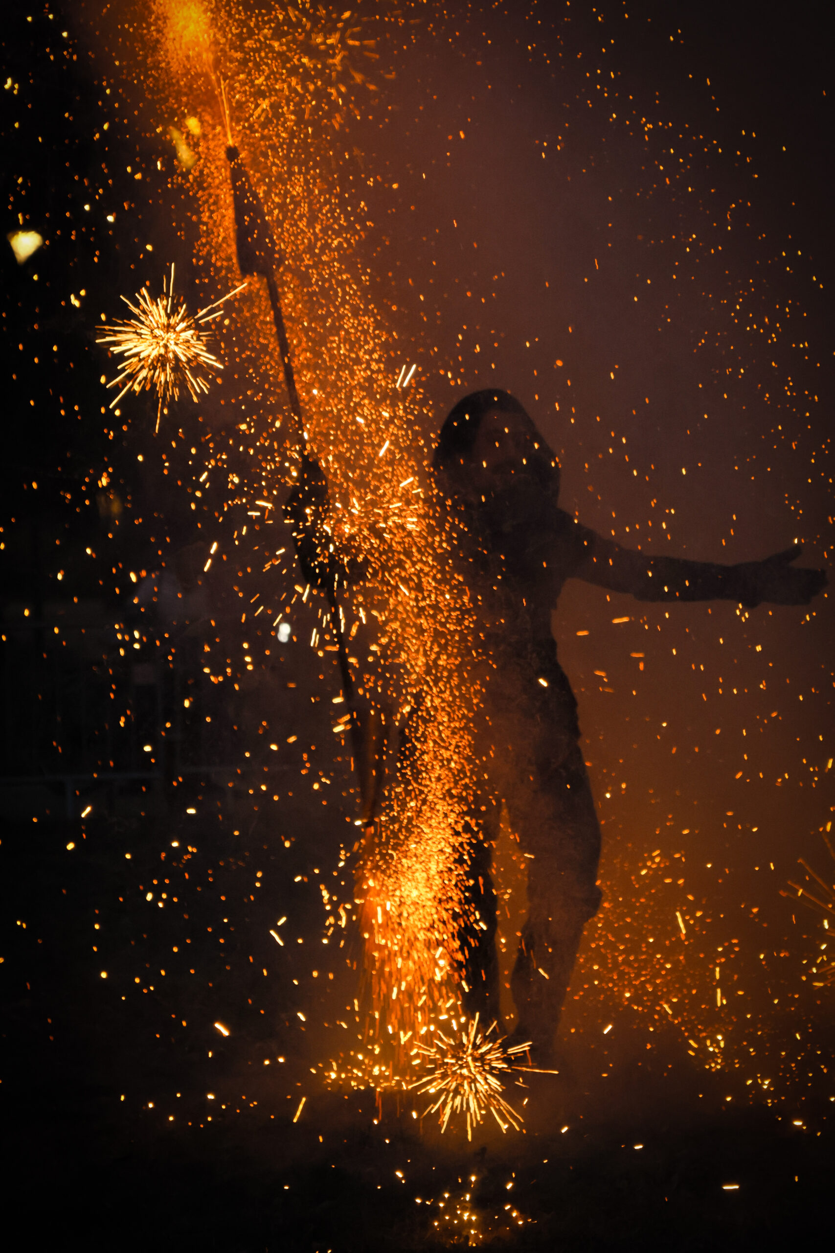 Grenoble - vœux du maire 