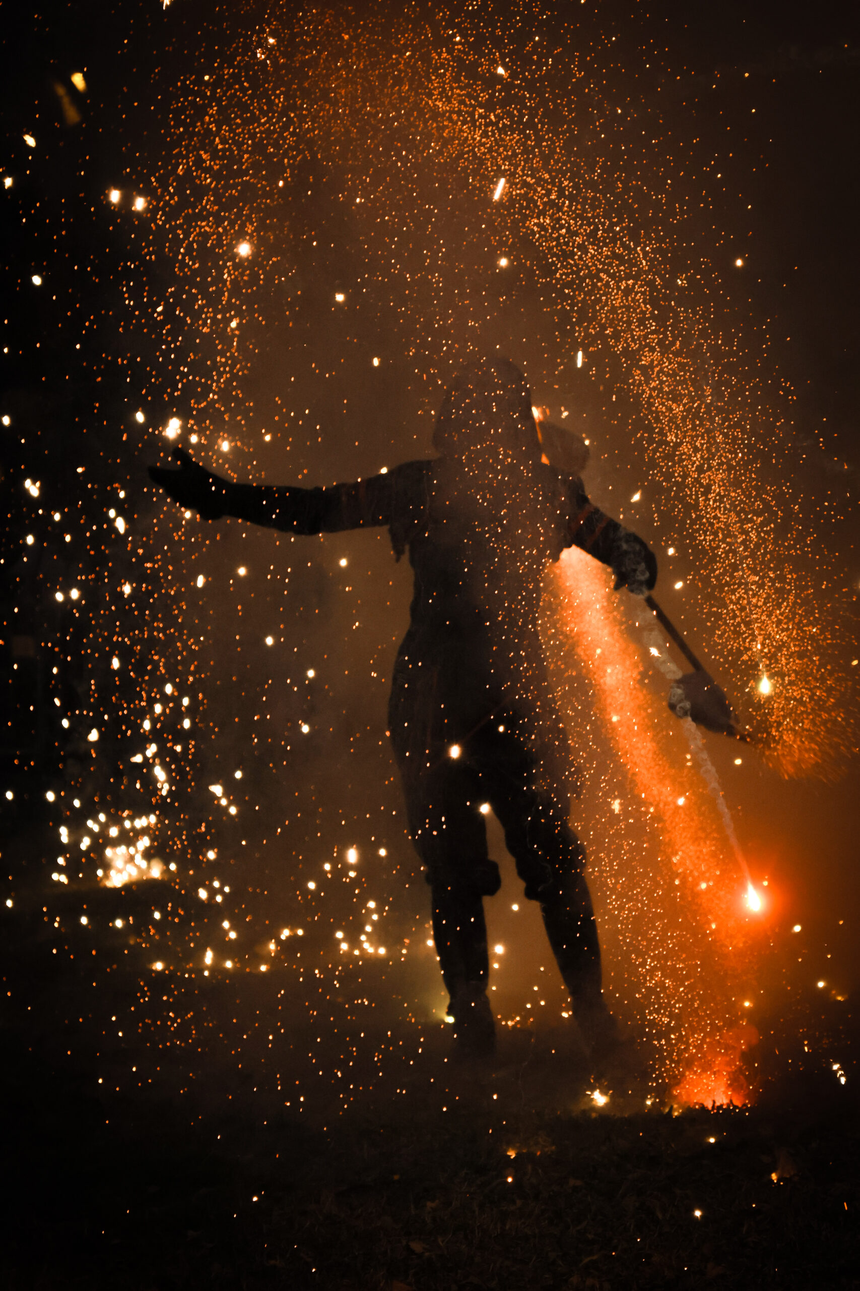 Grenoble - vœux du maire 